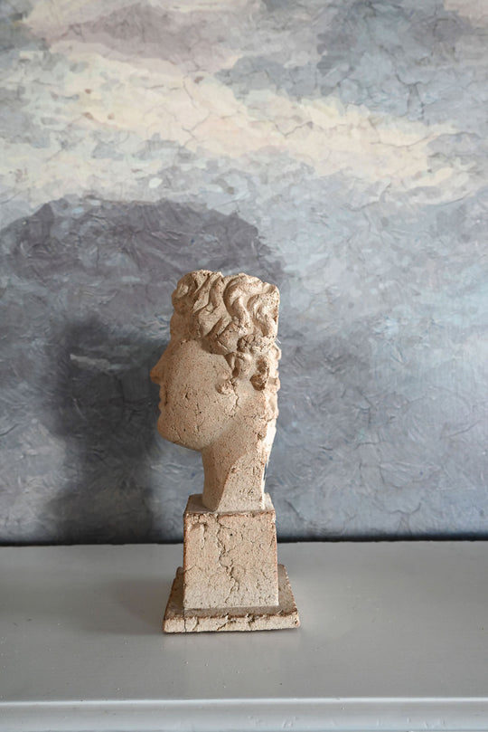 vintage neoclassical terra cotta bust i