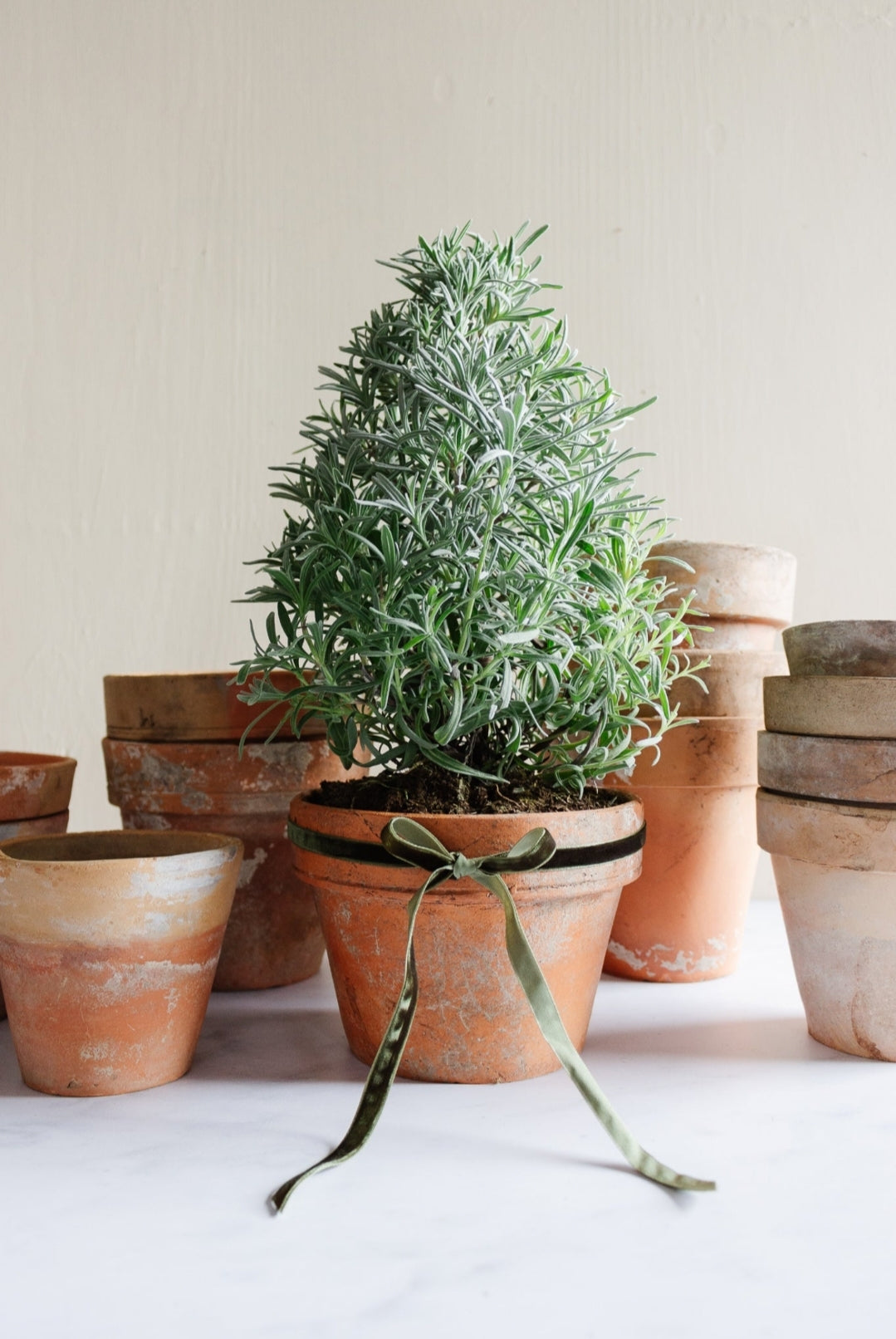 vintage ceramic plant pots vintage French terra cotta flower pots