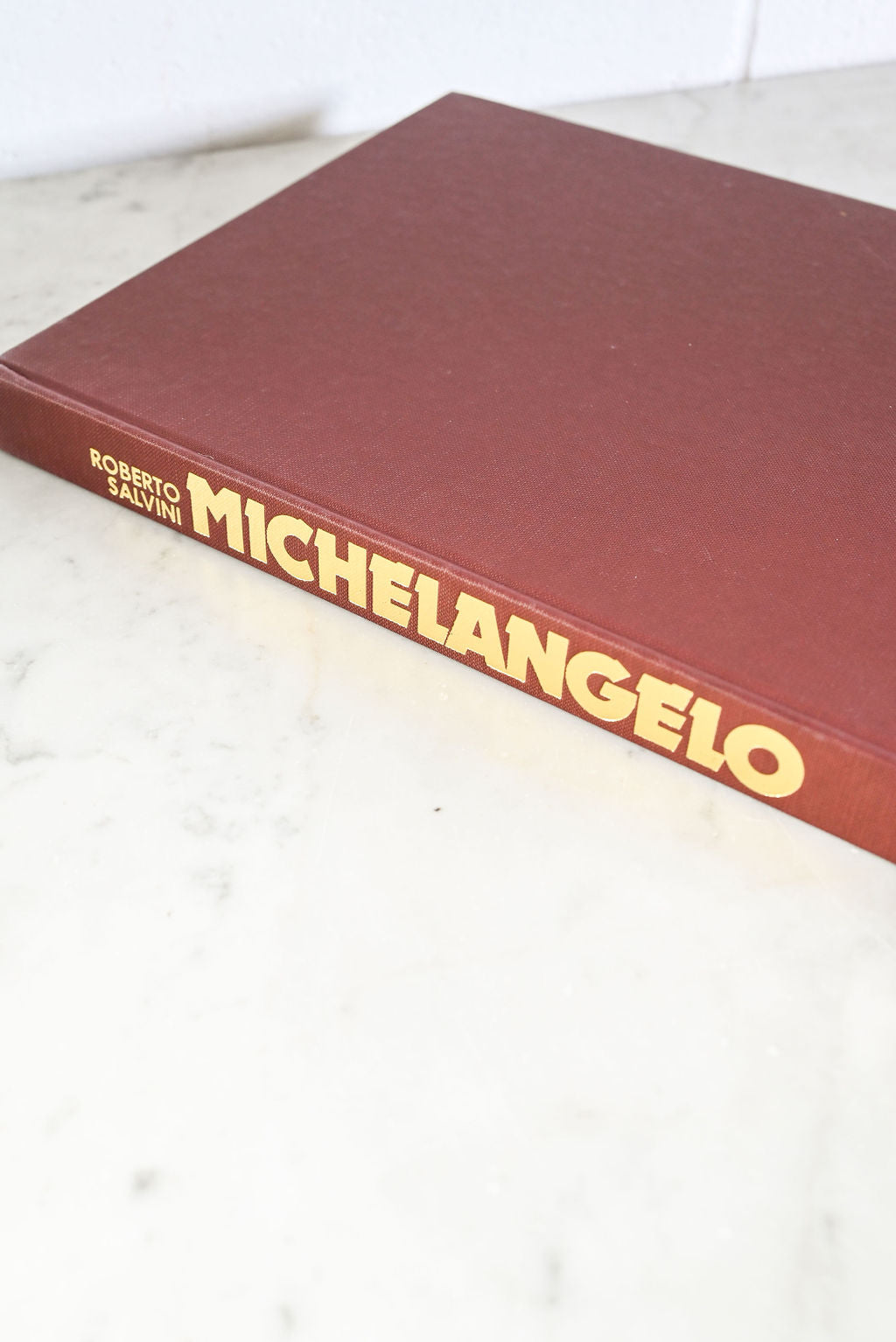 vintage hard cover art book "michelangelo"