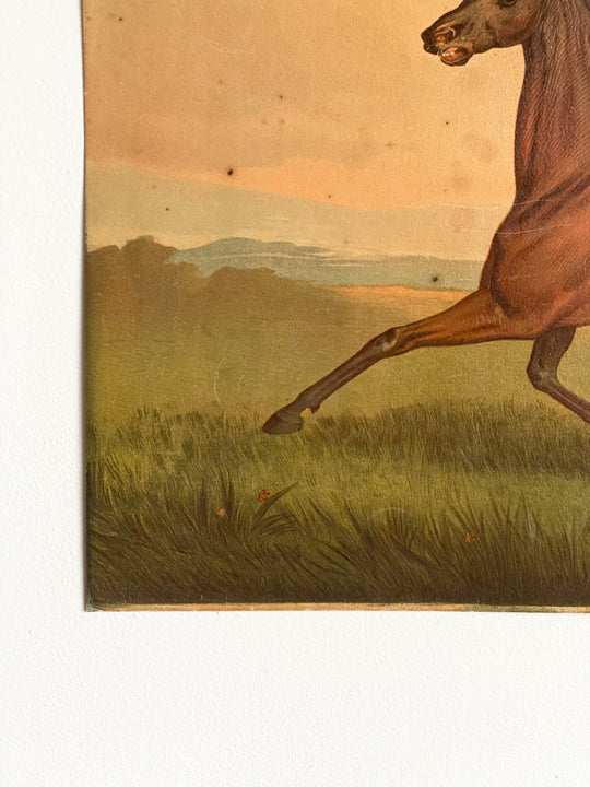 antique chromolithograph, “cheval au galop”