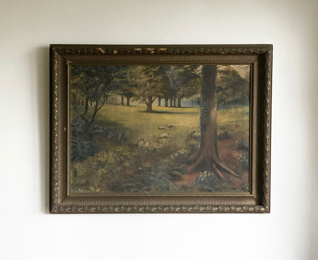moutons dans la forêt
