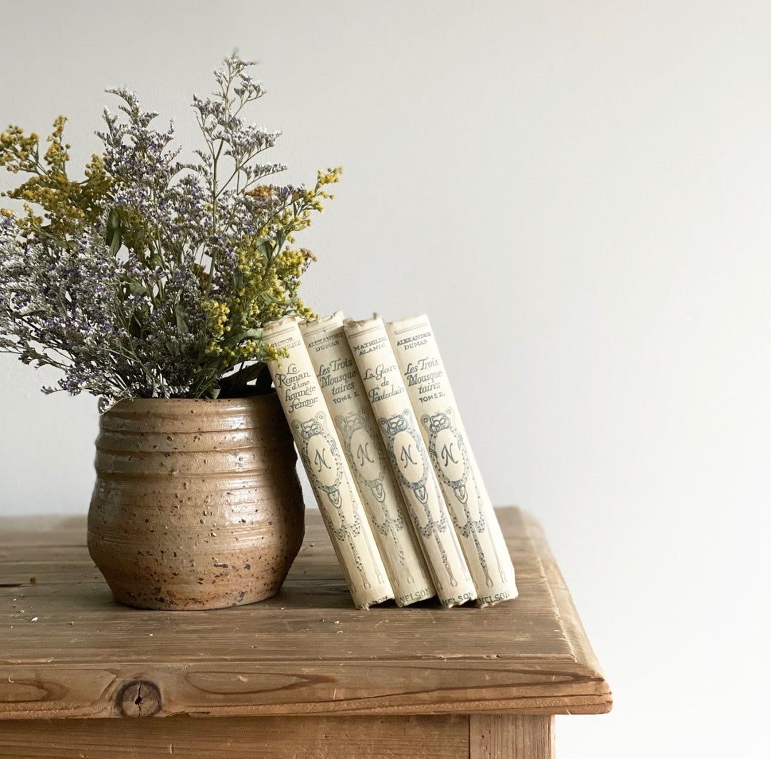 antique French books "collection Nelson", set of four