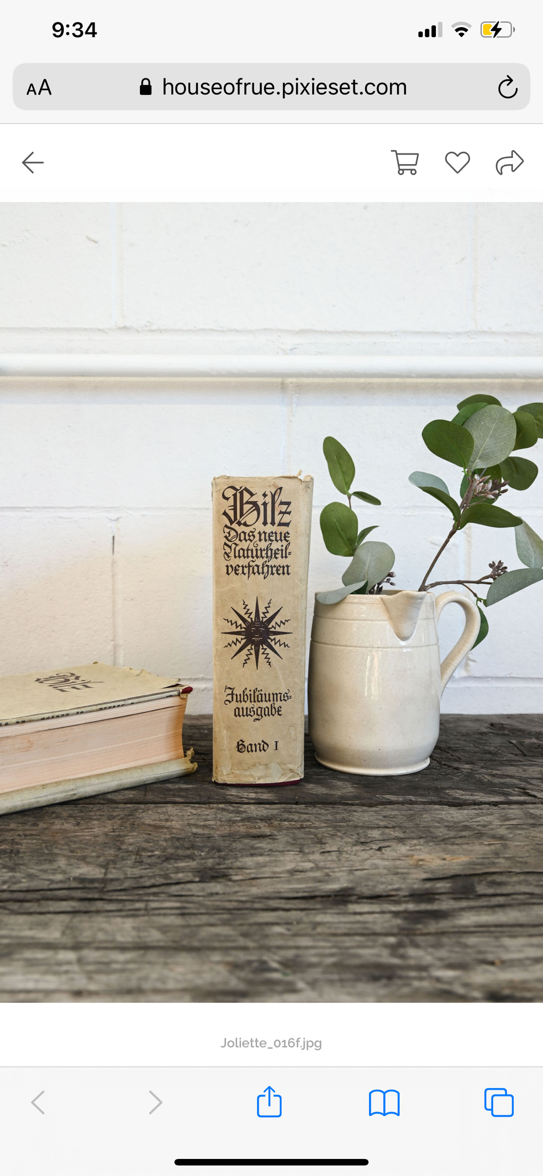 vintage German Bilz medical books