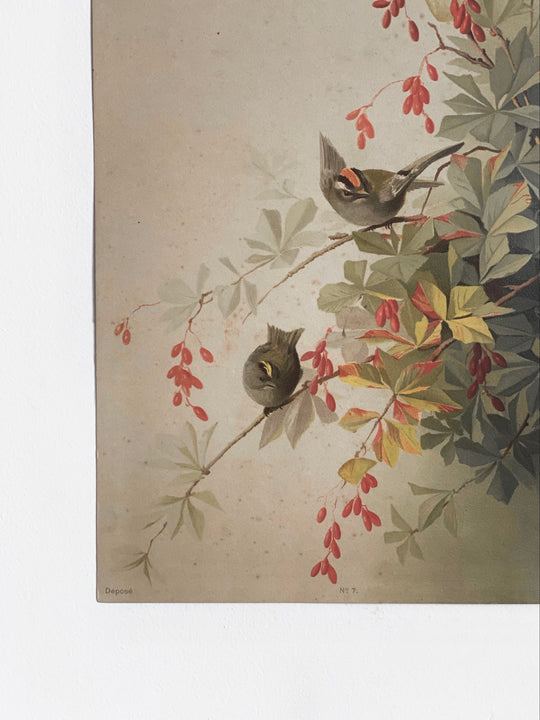 antique e. vouga chromolithograph I