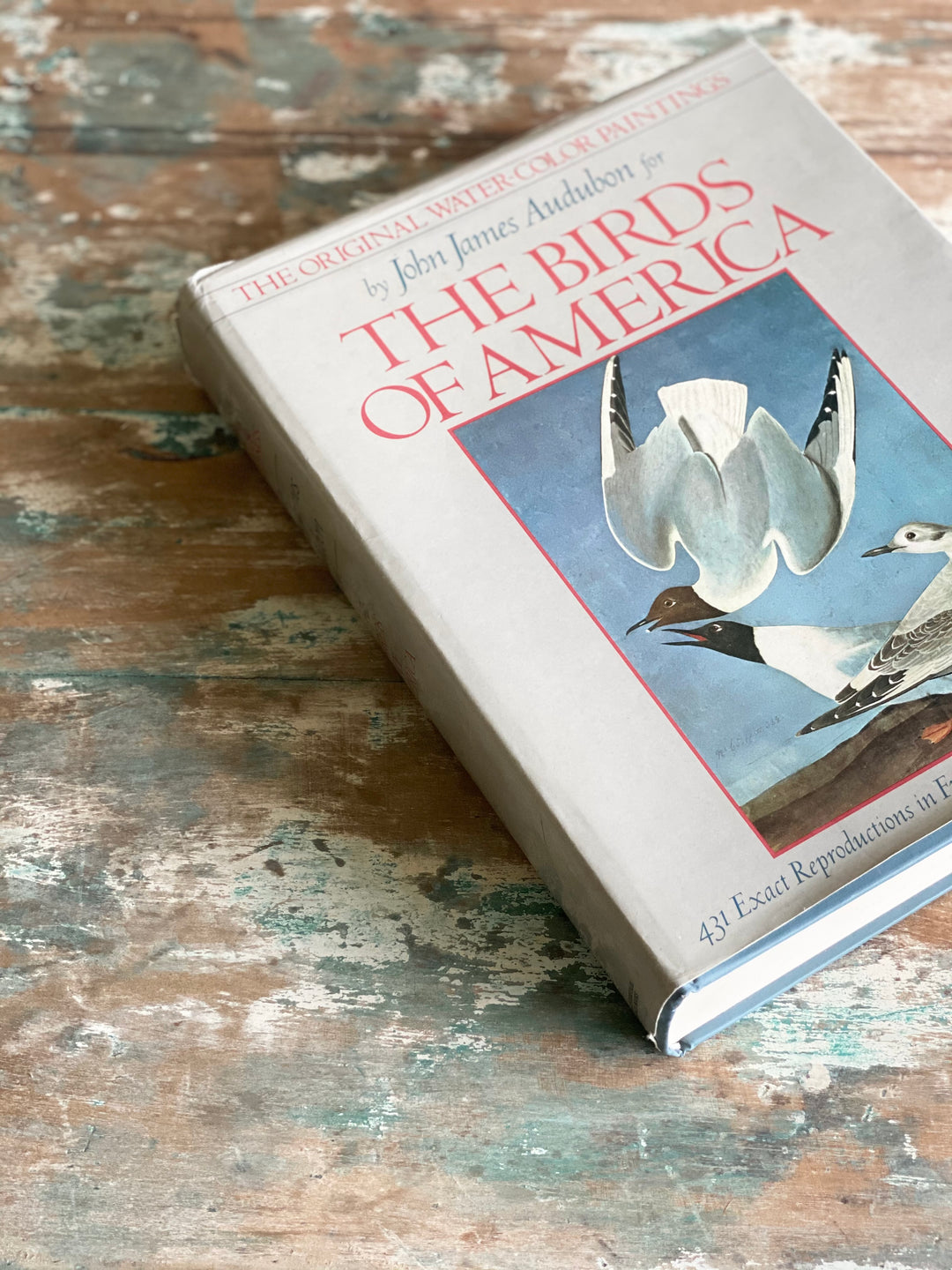 vintage reference book, “the original watercolour paintings by John James Audubon for the birds of america”
