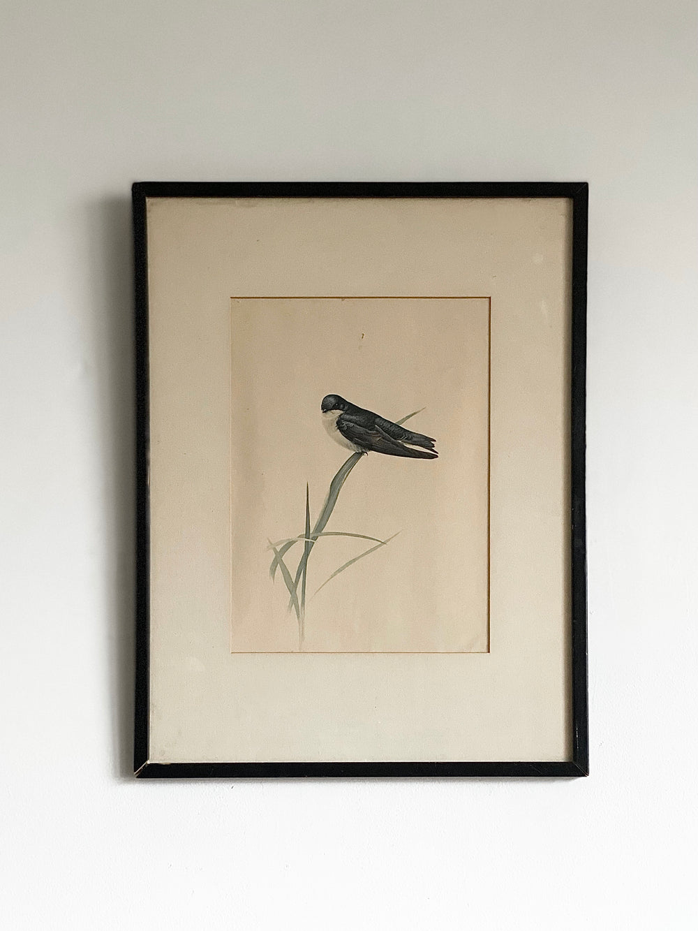vintage sparrow print