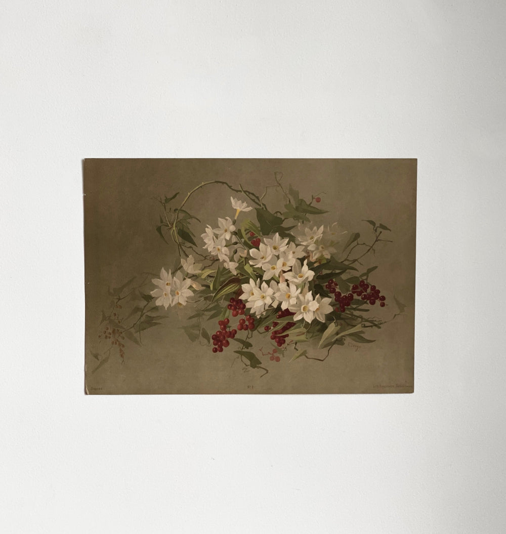 antique e. vouga chromolithograph II