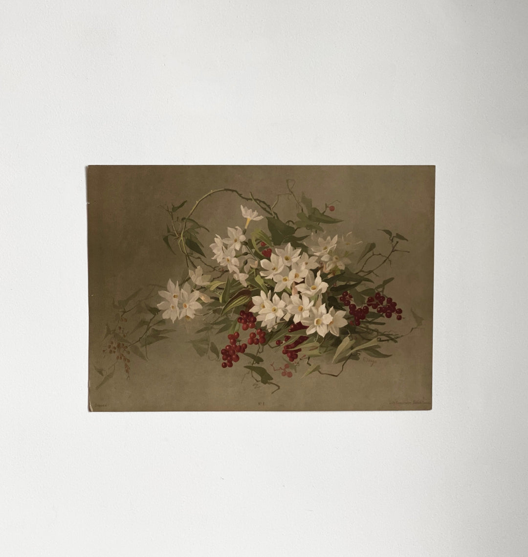 antique e. vouga chromolithograph II