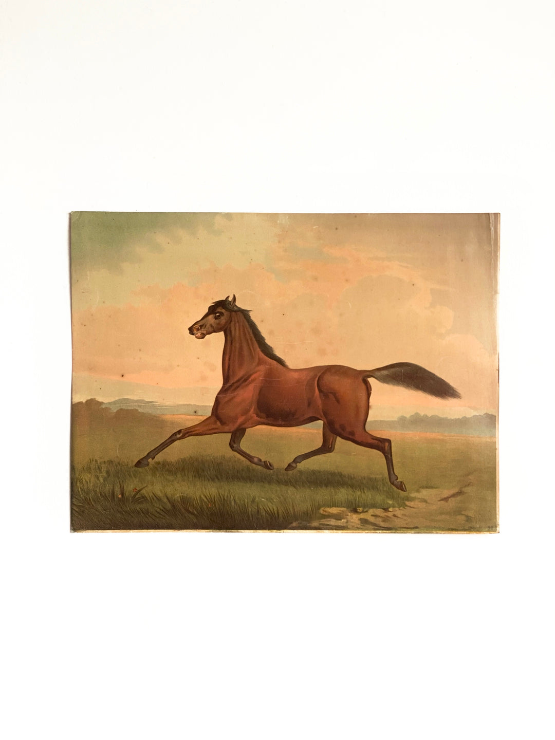 antique chromolithograph, “cheval au galop”