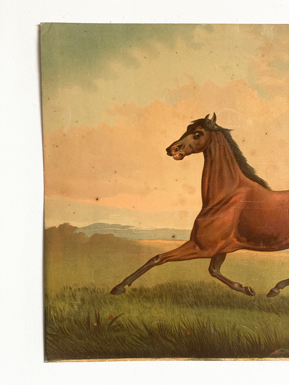antique chromolithograph, “cheval au galop”