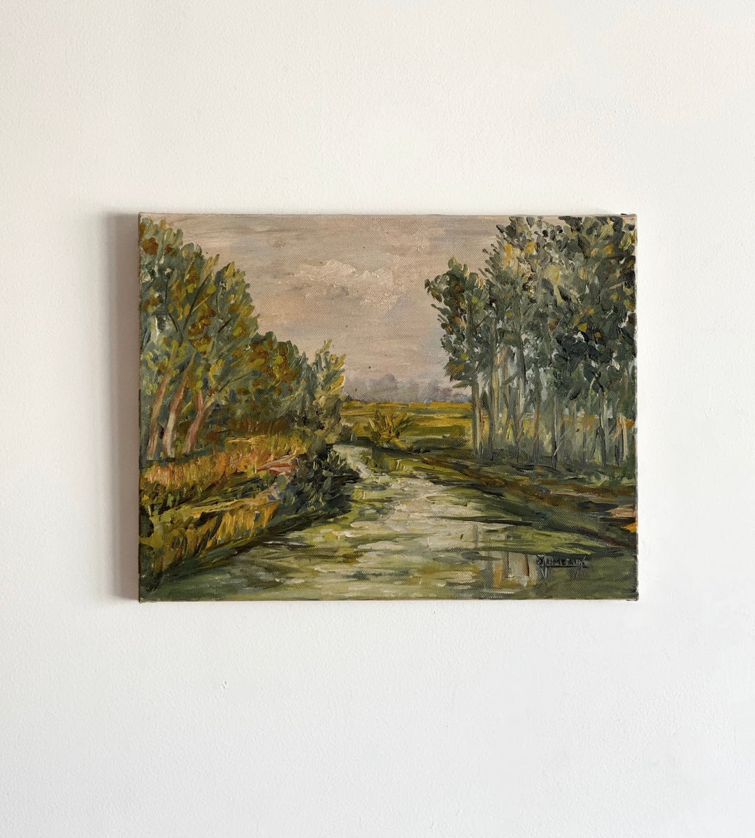 rivière bordée d'arbres