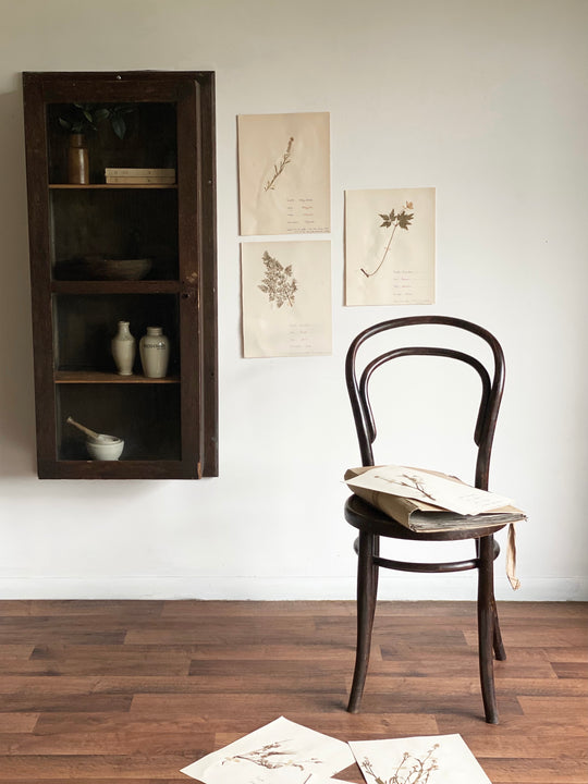 antique apothecary display cabinet
