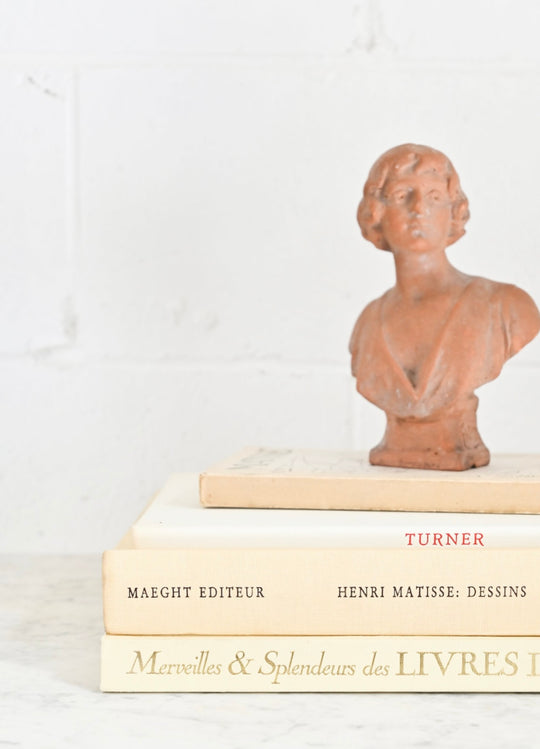 vintage French terra cotta bust