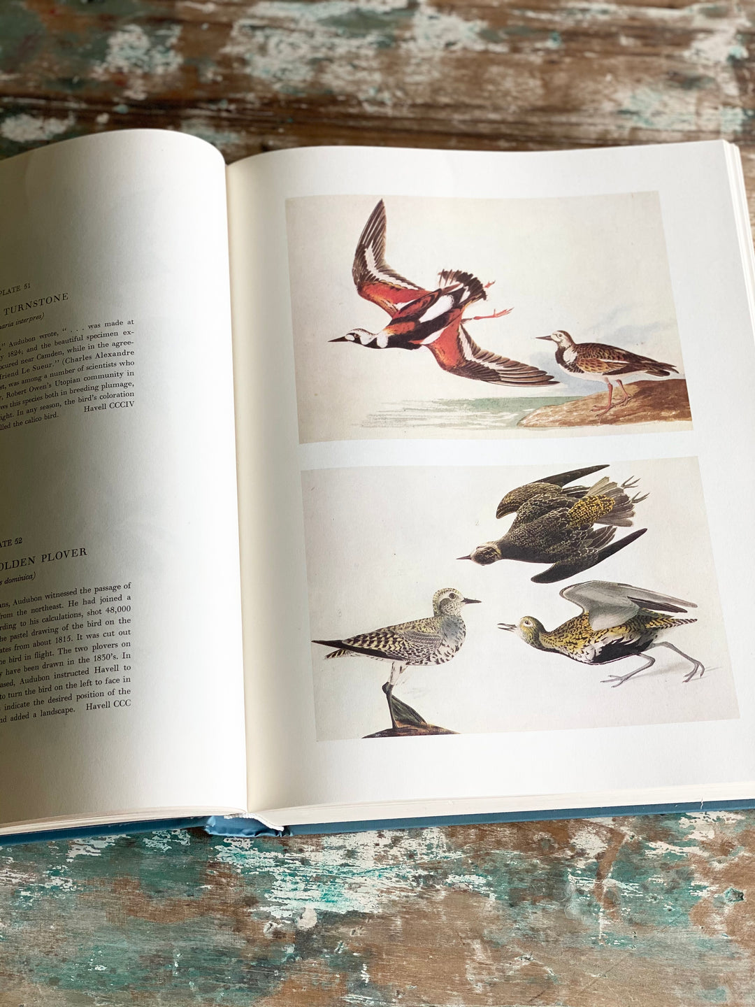 vintage reference book, “the original watercolour paintings by John James Audubon for the birds of america”