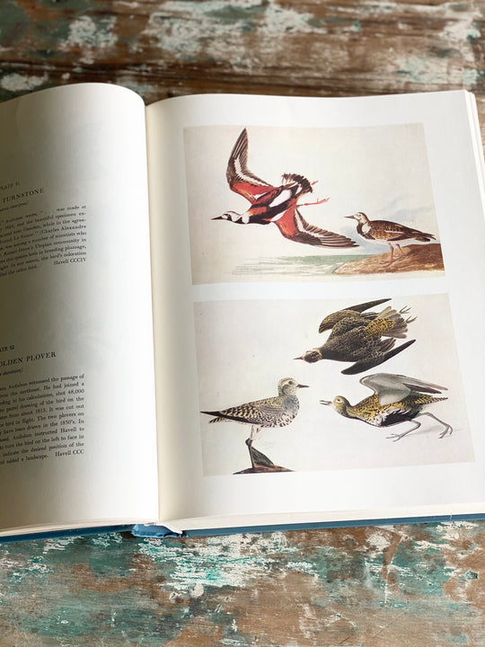 vintage reference book, “the original watercolour paintings by John James Audubon for the birds of america”