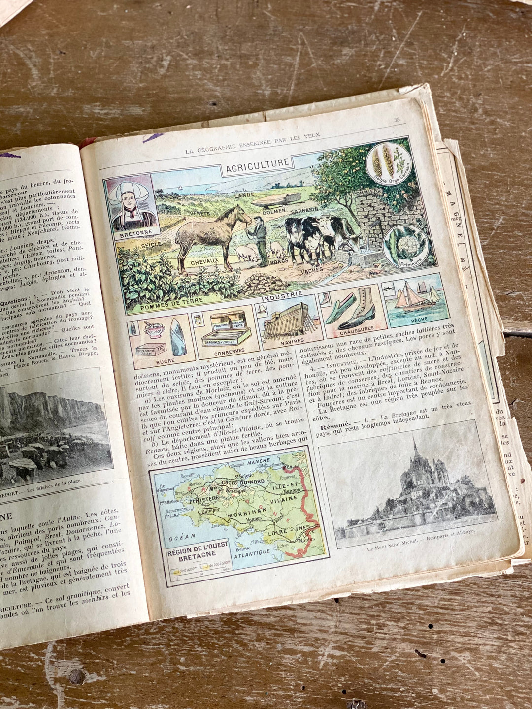 vintage French textbook, “la geographie” 1923