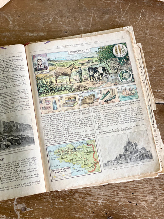 vintage French textbook, “la geographie” 1923