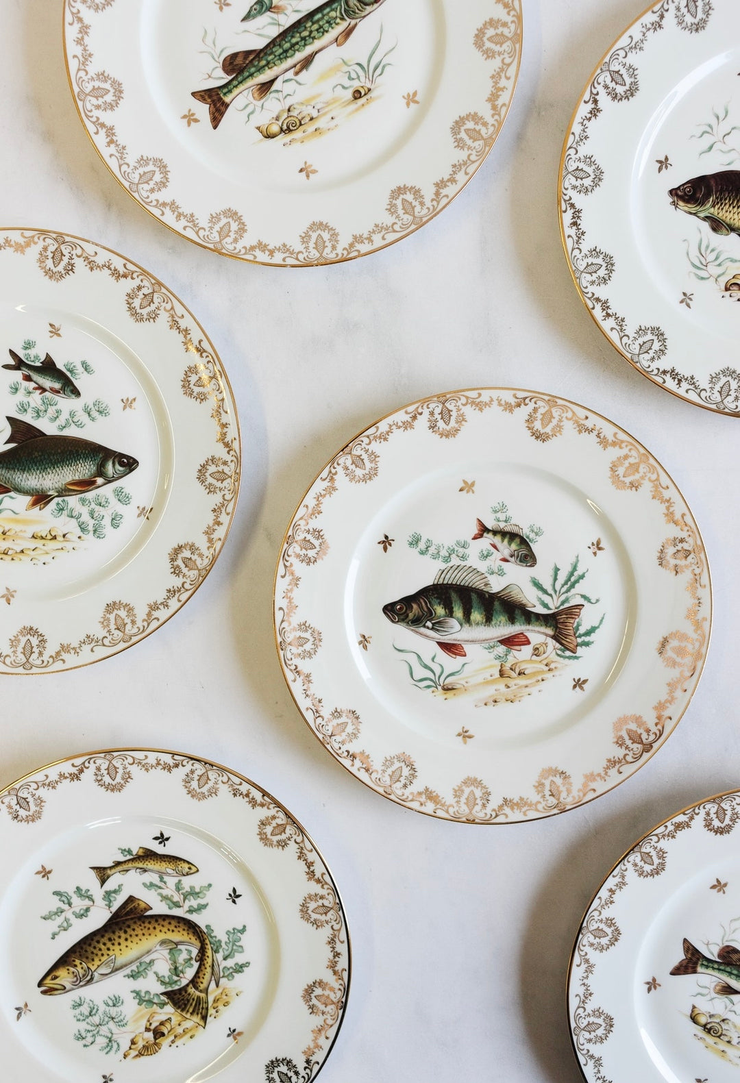 midcentury French "porcelaine de limoges" fish plates