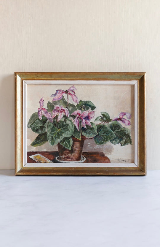 cyclamen rose dans un vase