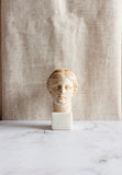 vintage petite Grecian plaster bust