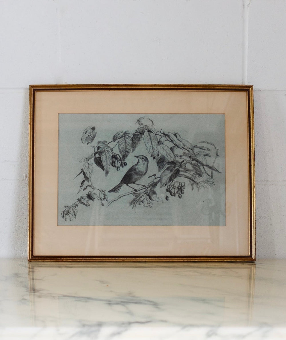 perché dans les arbres