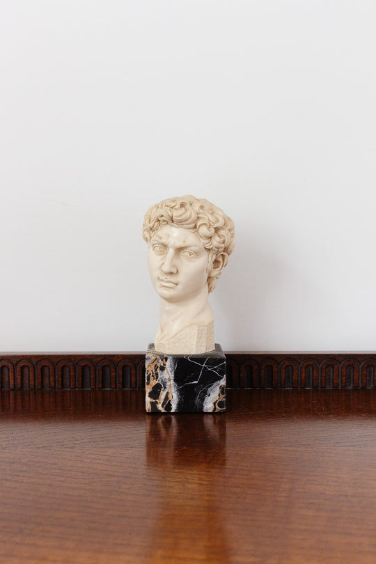 vintage Italian bust, “David”