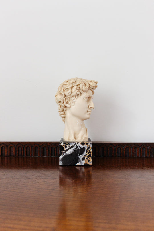 vintage Italian bust, “David”