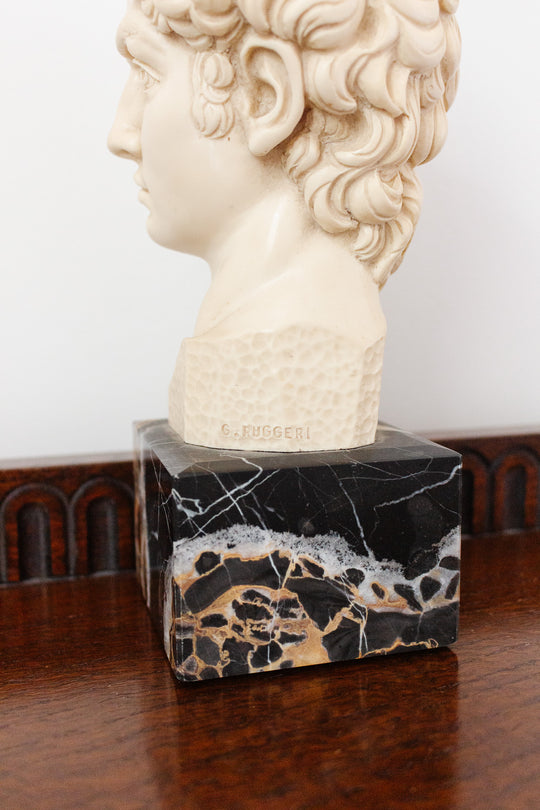 vintage Italian bust, “David”