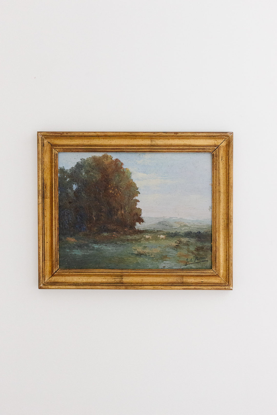 lumière de la campagne