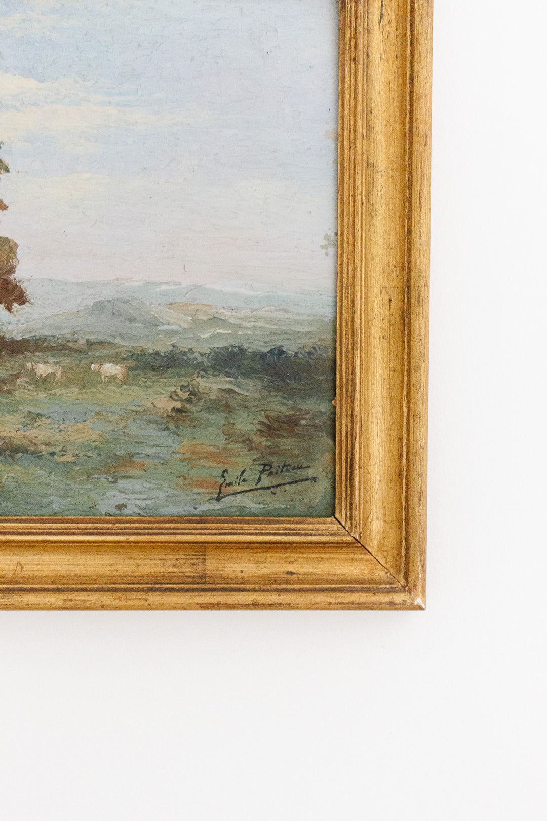 lumière de la campagne