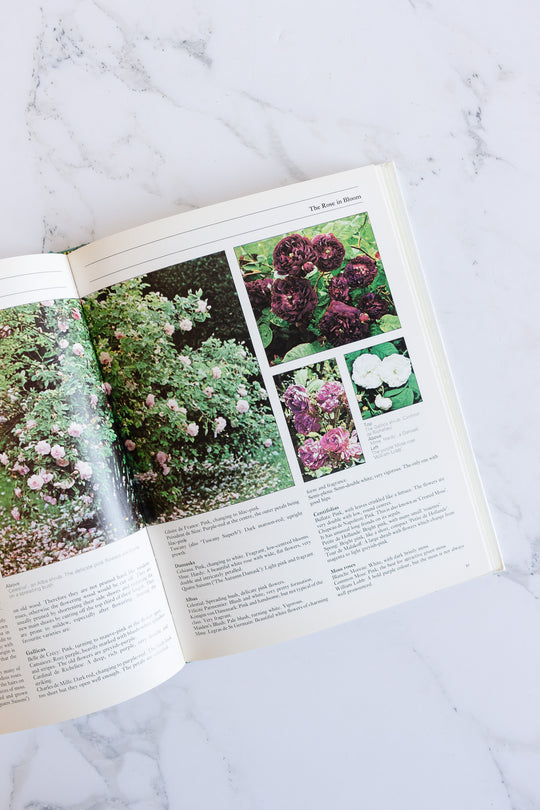 the rose vintage coffee table book