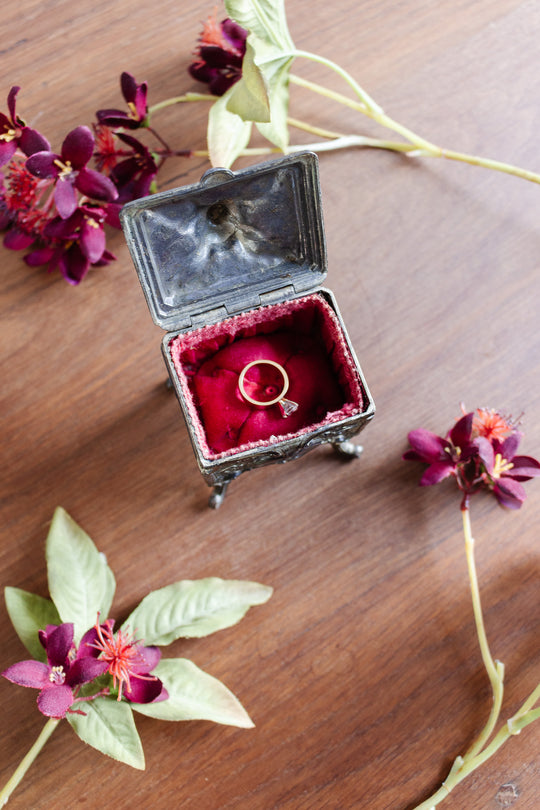 vintage french cast metal casket with tufted ruby cushion