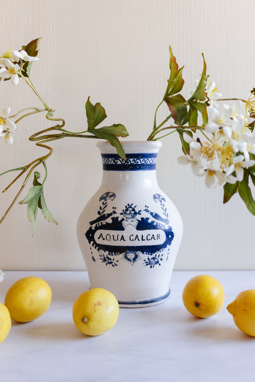1960s Italian terra cotta blue and white apothecary jar