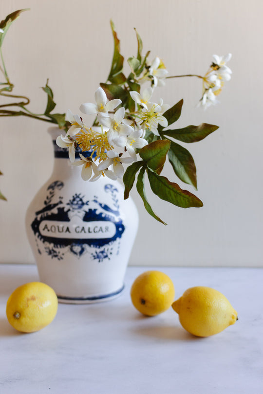 1960s Italian terra cotta blue and white apothecary jar