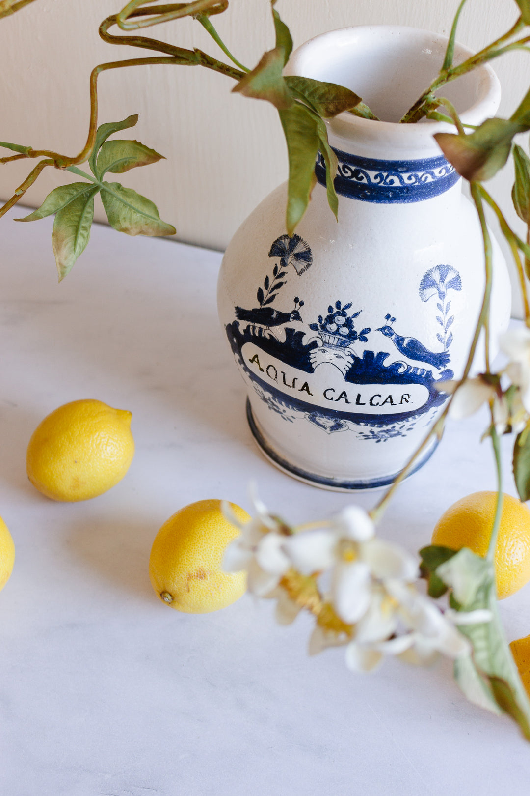 1960s Italian terra cotta blue and white apothecary jar