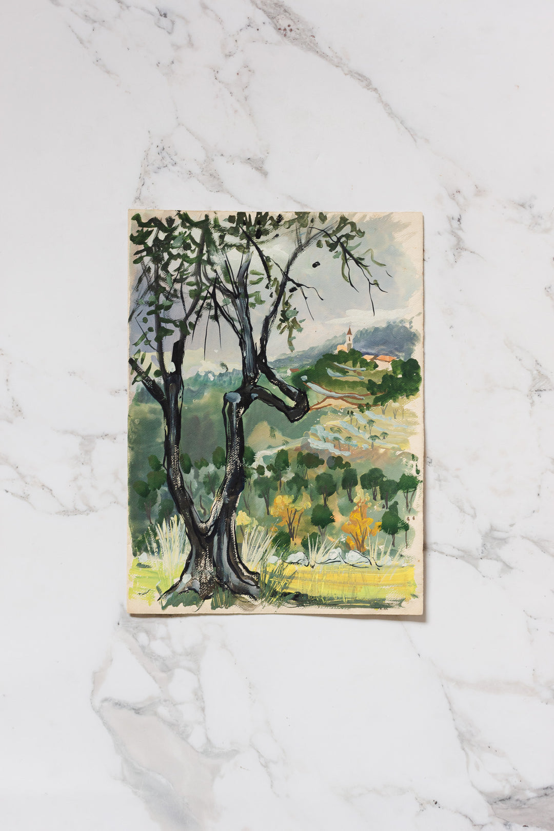 l'arbre dans les collines