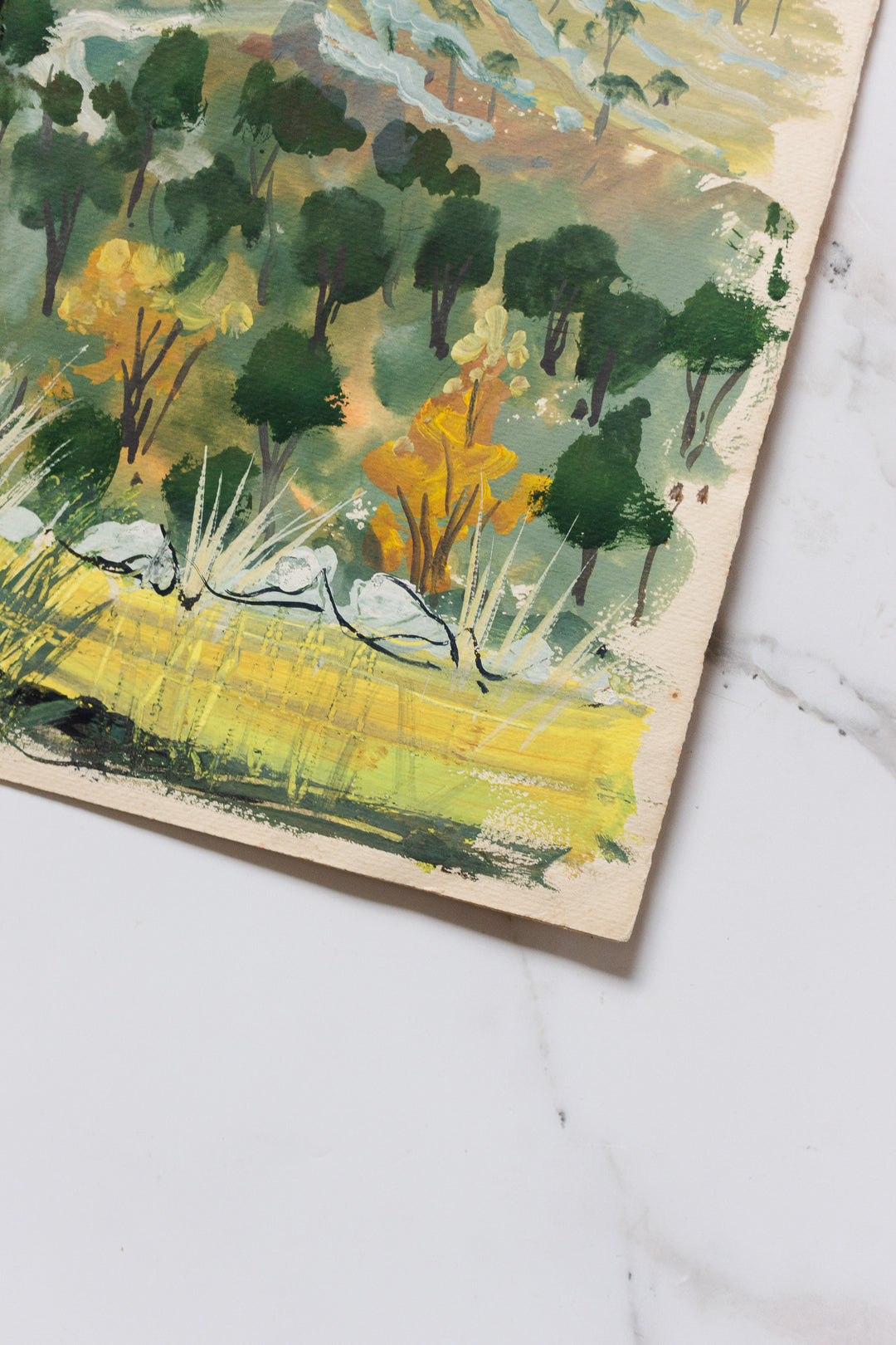 l'arbre dans les collines