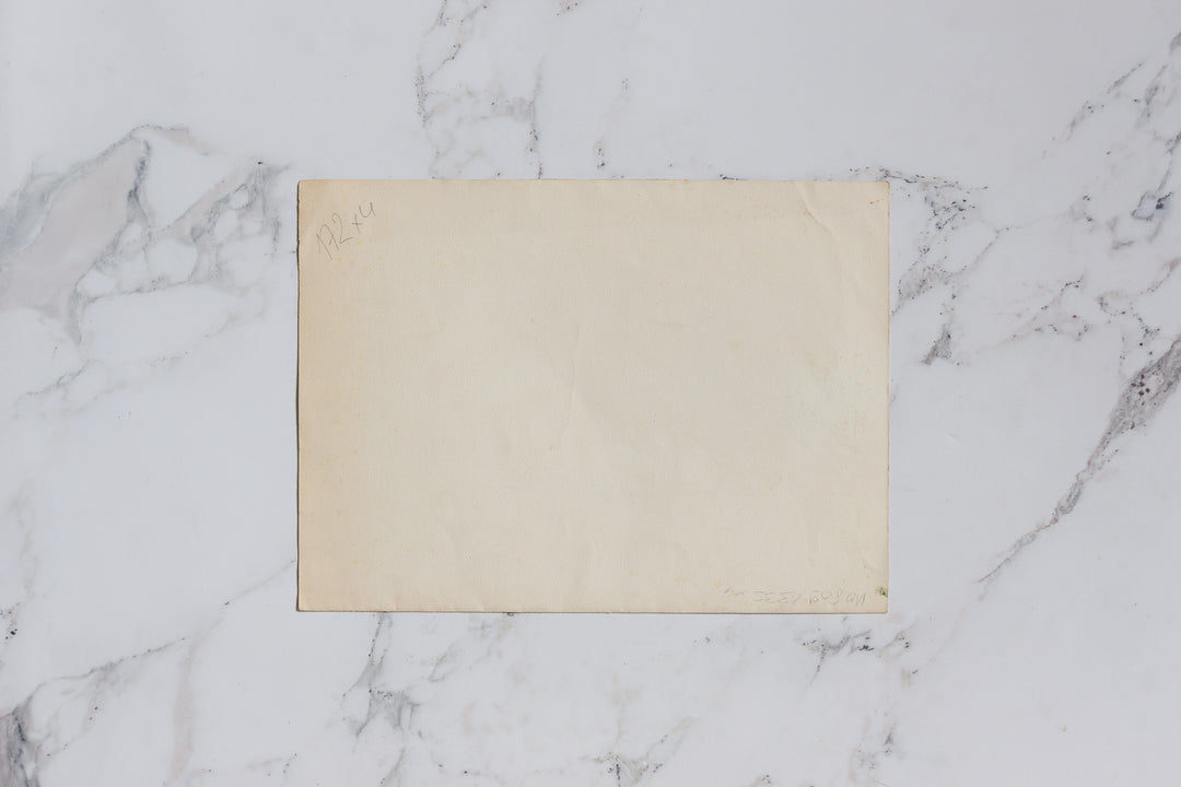 l'arbre dans les collines