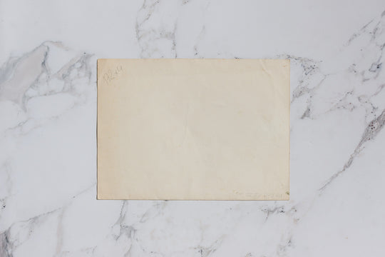 l'arbre dans les collines