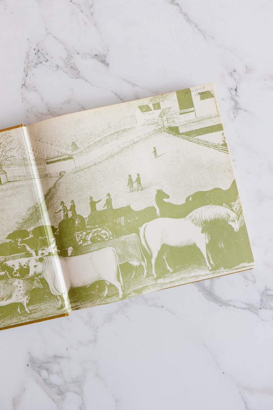 the epicure's book of steak and beef dishes