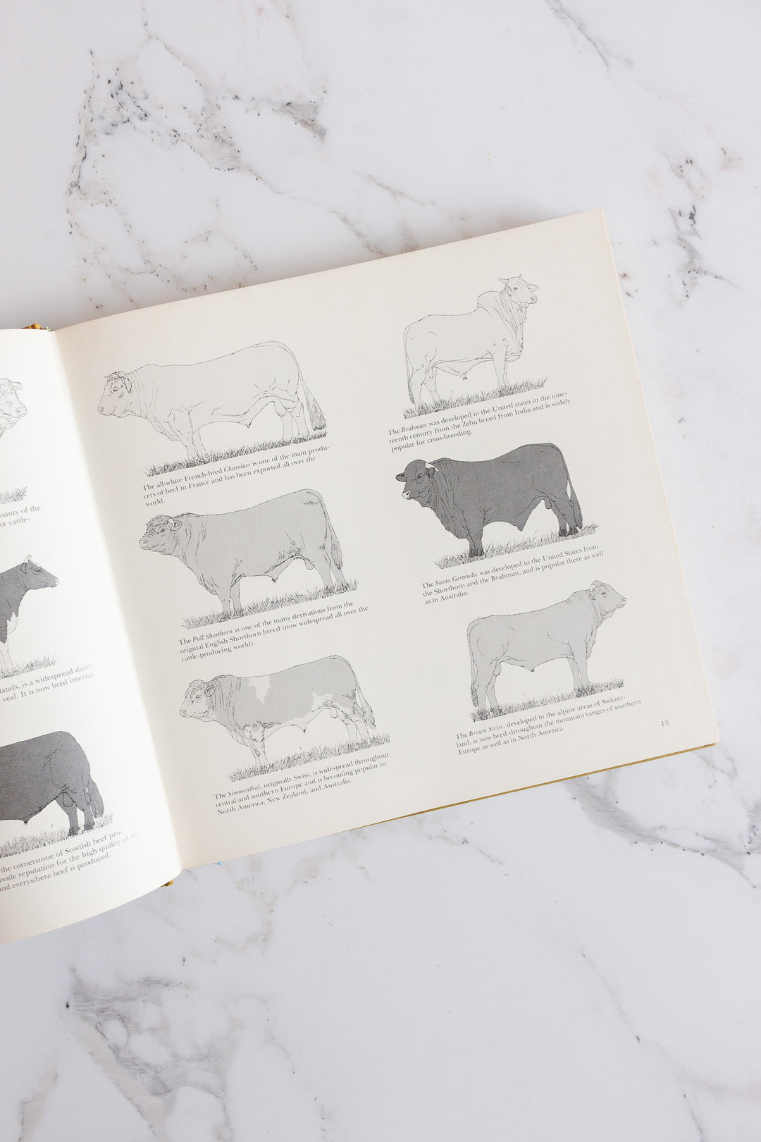 the epicure's book of steak and beef dishes
