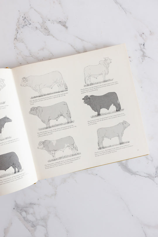 the epicure's book of steak and beef dishes