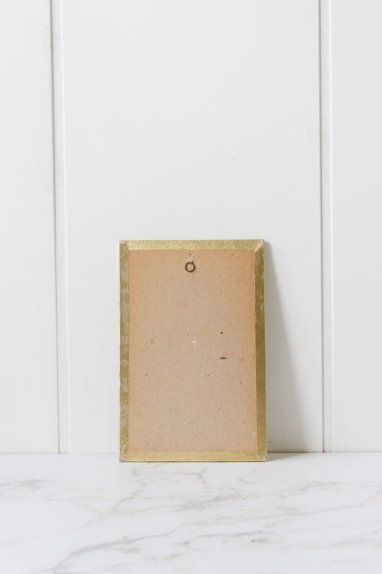 pair of antique french hand coloured "oiseaux" engravings