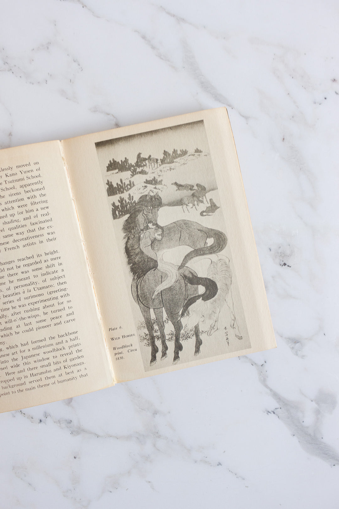 vintage art book, “Katsushika Hokusai Kodansha Library Of Japanese Art, No 1”