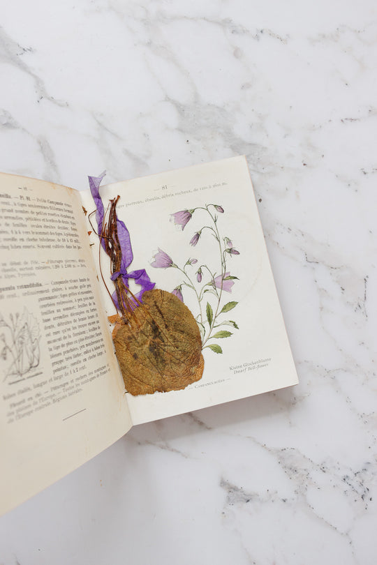 rare "nouvelle flore coloriée" alpes et les pyrénées