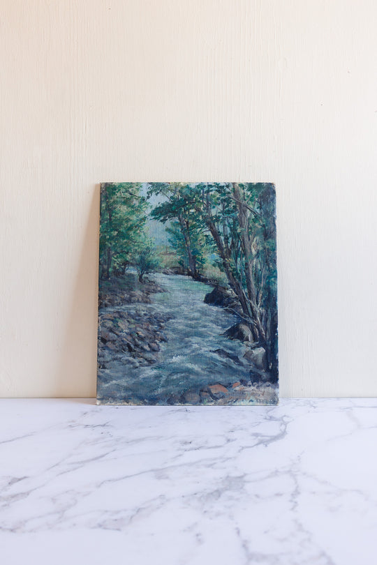 the brook in the forest