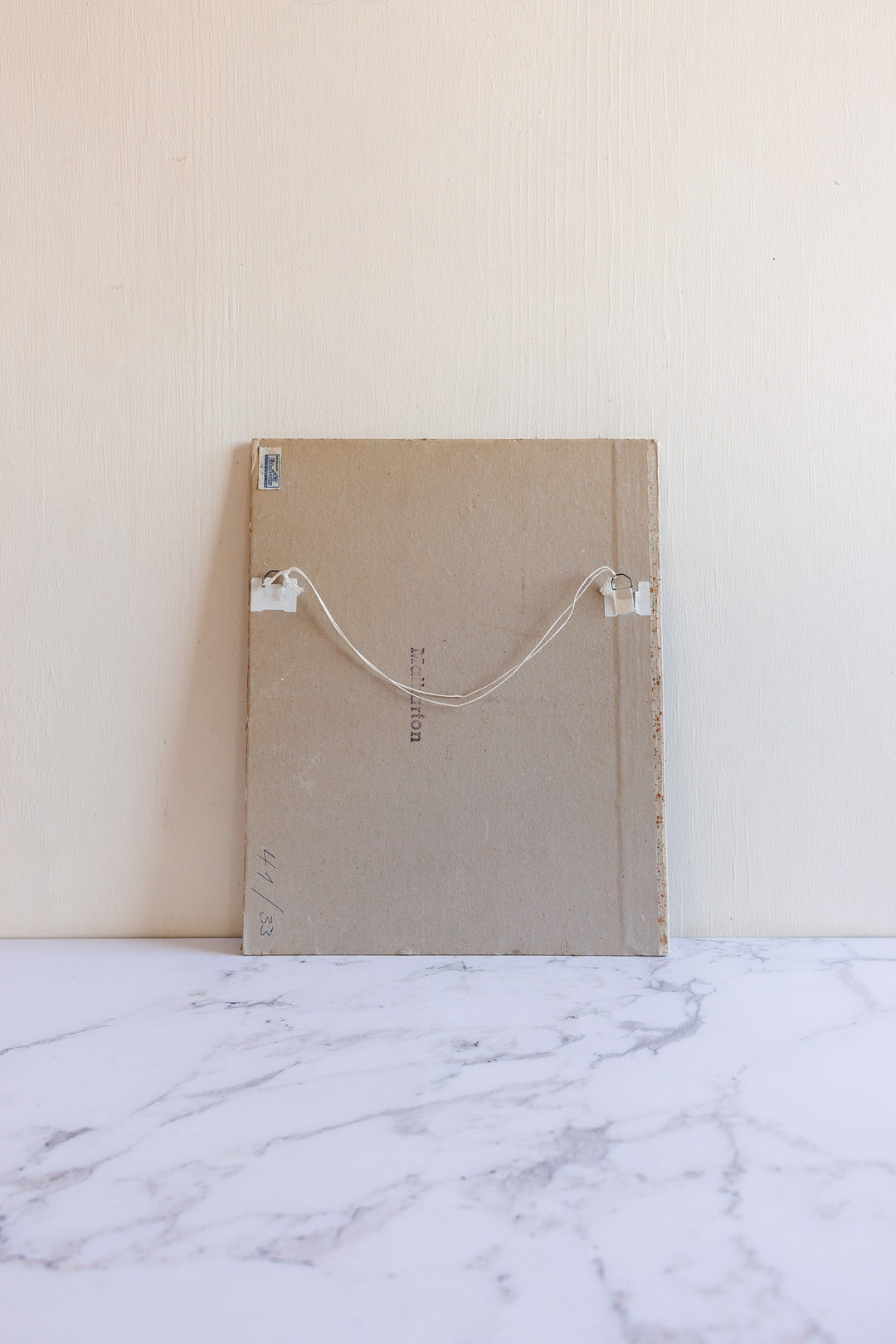 the brook in the forest