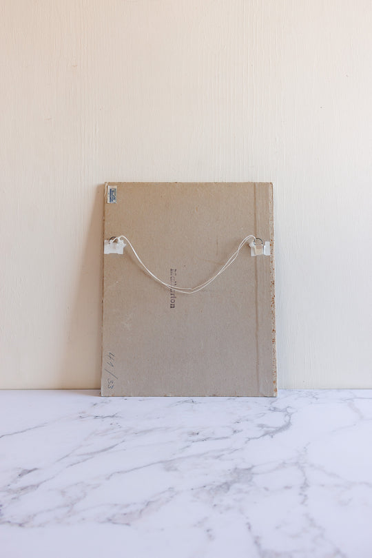 the brook in the forest