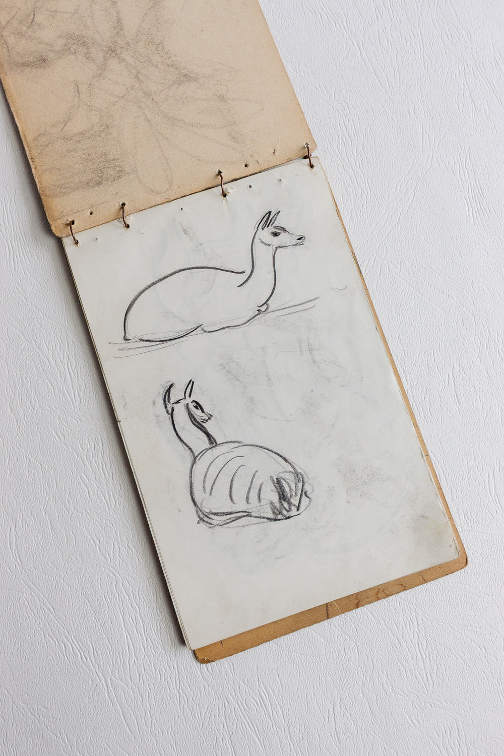 sketchpad by m. Auguste de marseille