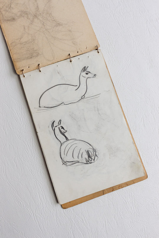 sketchpad by m. Auguste de marseille